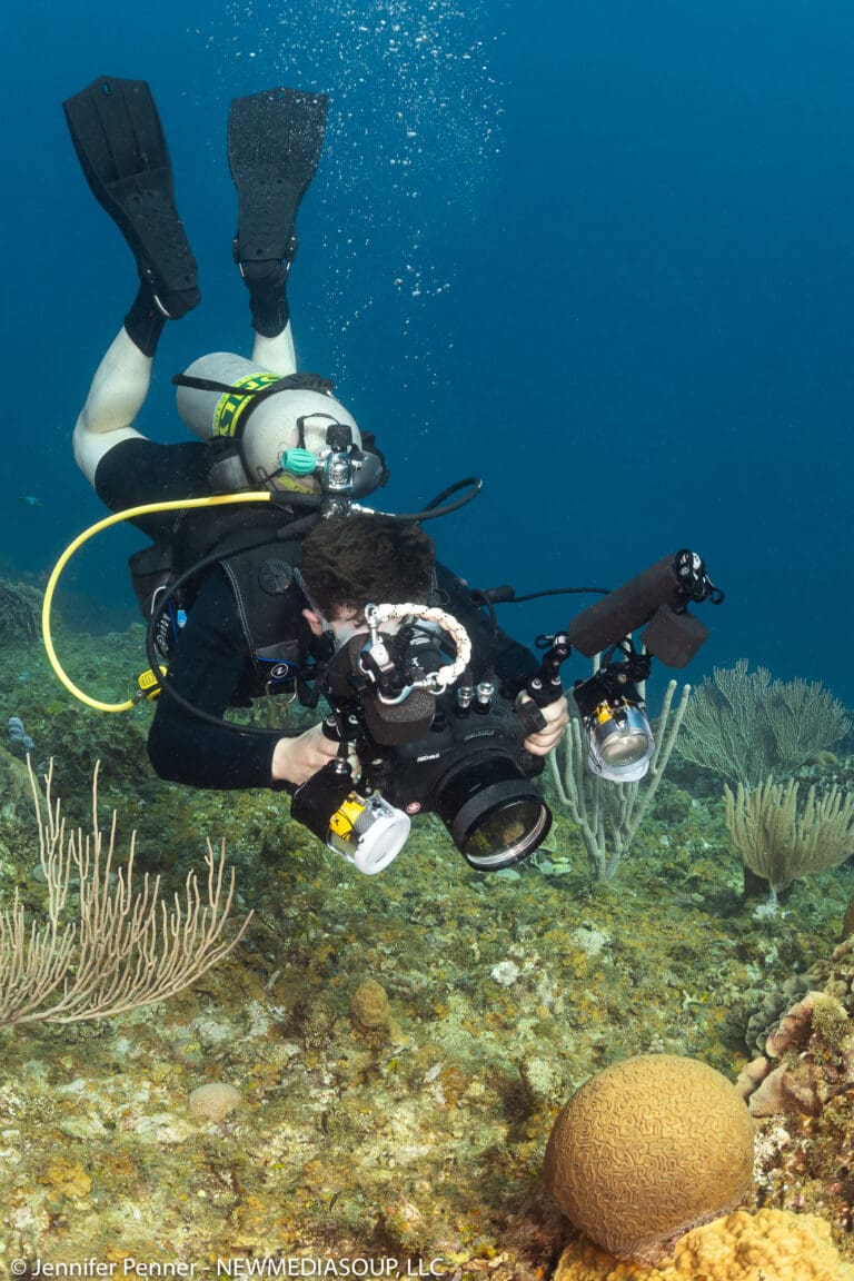 The Digital Shootout – Roatan, Honduras