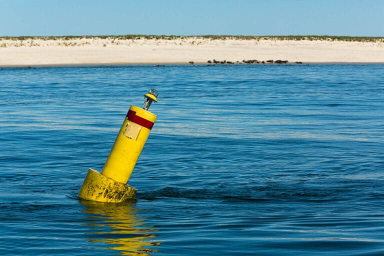 Putting out Receiver Buoys with Greg Skomal