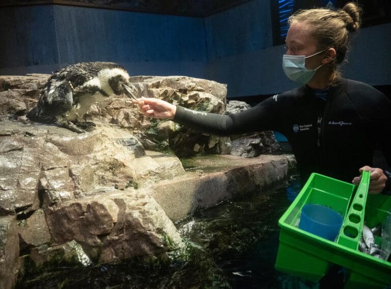 New England Aquarium: Day 1
