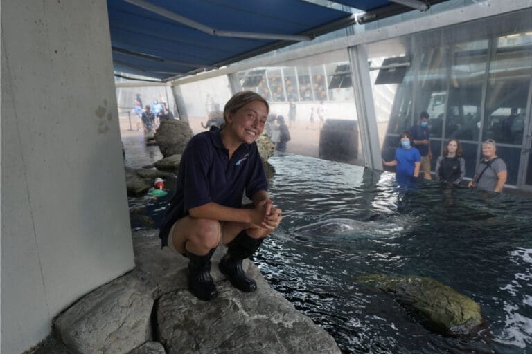 New England Aquarium Day 4: Marine Mammals