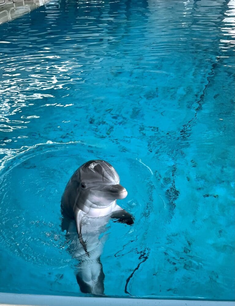 Day 2 at the National Aquarium: The Blacktip Reef and Behind the Scenes