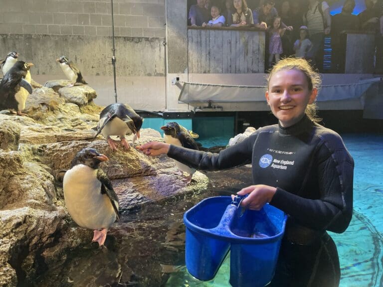 I Am Now Obsessed With Penguins!