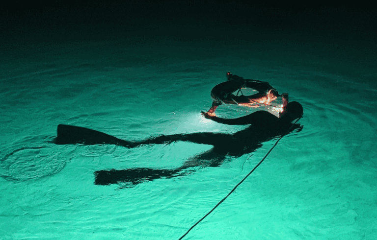 Digital Shootout: Tarpon Diving with Cristian Dimitrius