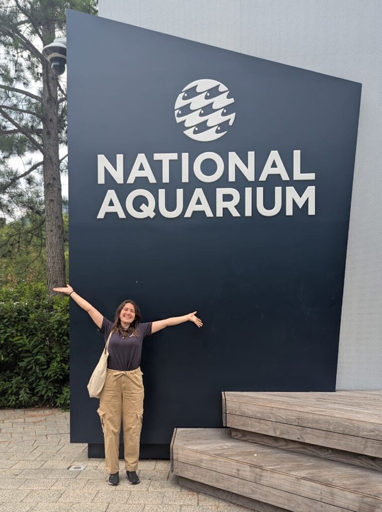 National Aquarium Days 1-2: First Dive and Shark Teeth