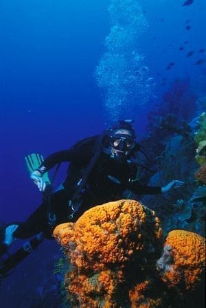 Bon Bini na Bonaire: Welcome to Bonaire!