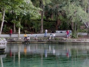 Welcome to Orlando and the Cambrian Foundation