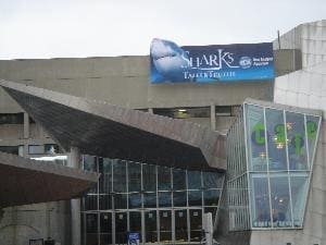 I Don’t Even Clean My Room This Much!!