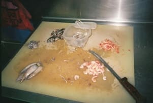 First day with Holly at the New England Aquarium