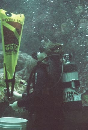 Days 4 and 5: They Eat Better Than We Do!